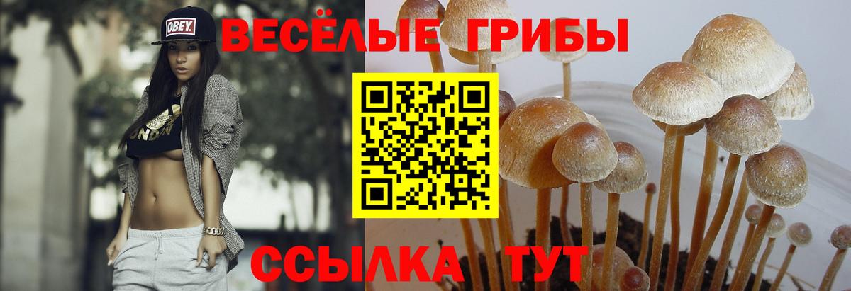 Галлюциногенные грибы GOLDEN TEACHER  Псилоцибиновые грибы мицелий  Кемерово  как найти закладки  Вход с VPN 